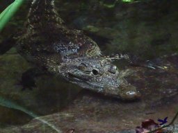 Tiergarten Schönbrunn am 15.05.2025
